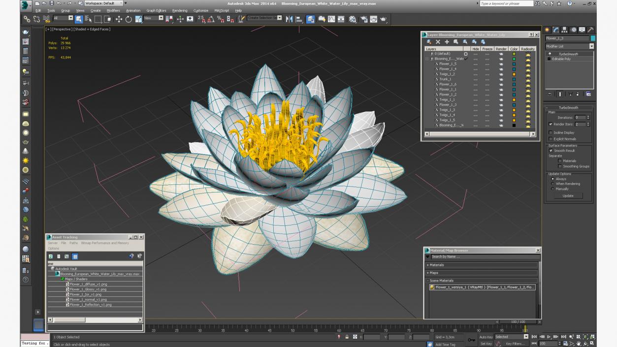 Blooming European White Water Lily 3D model