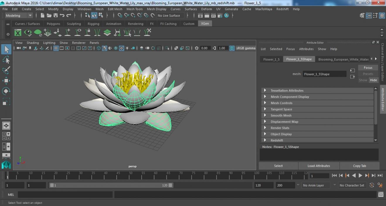 Blooming European White Water Lily 3D model