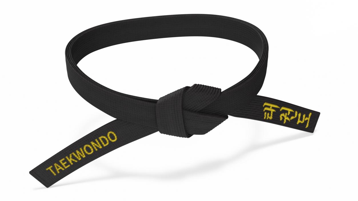 3D model Taekwondo Waist Black Obi Belt