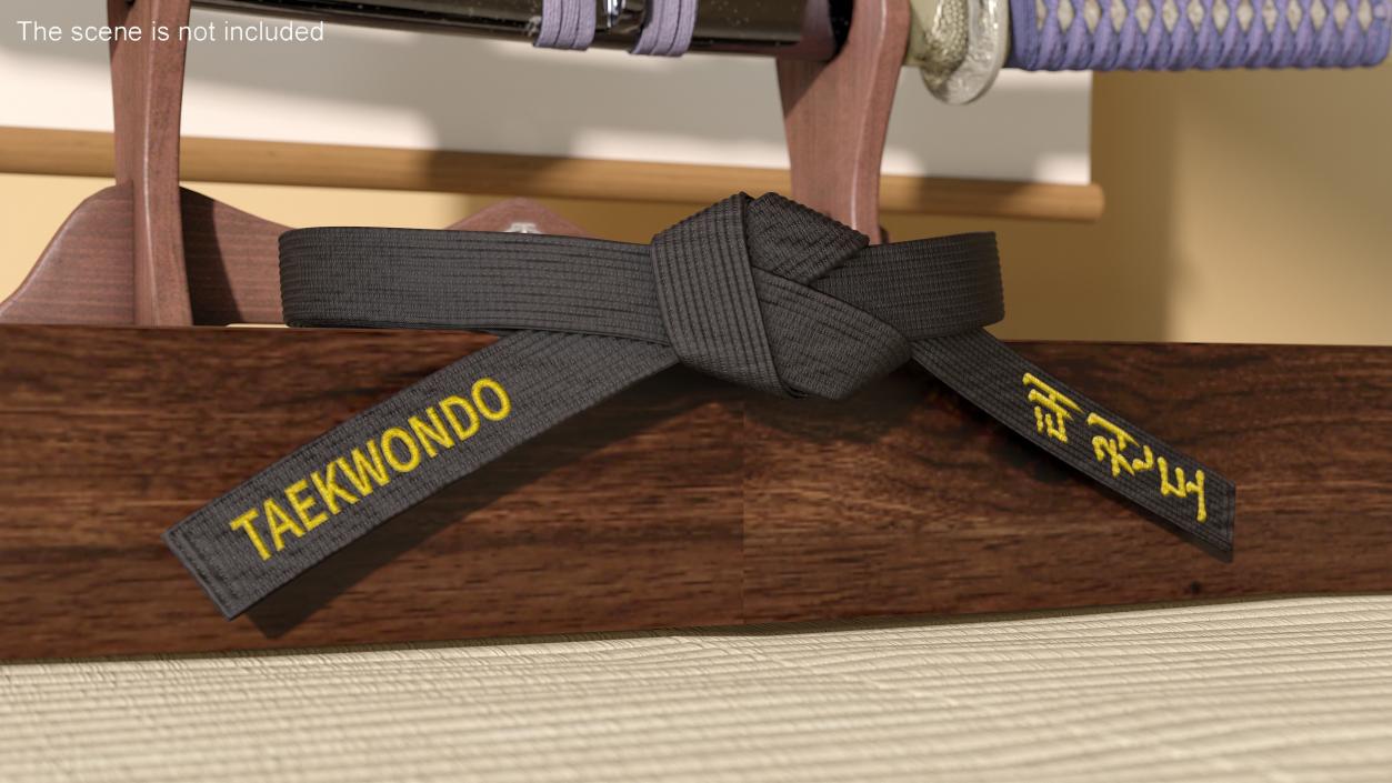 3D model Taekwondo Waist Black Obi Belt