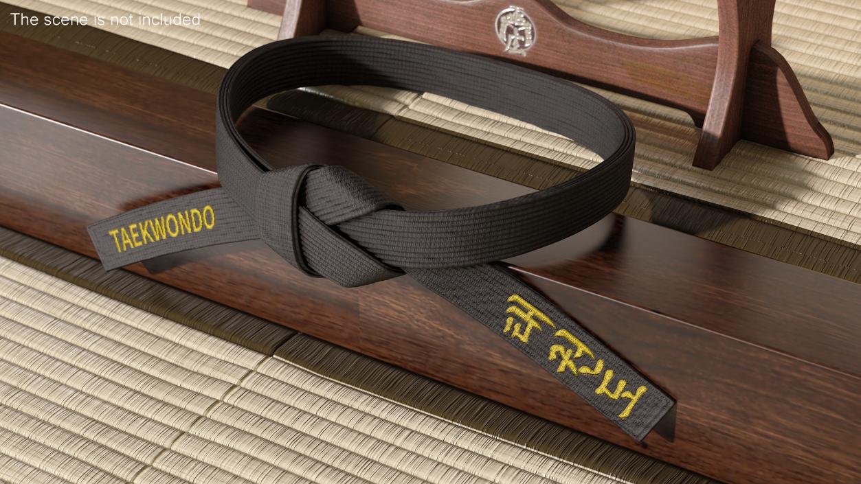 3D model Taekwondo Waist Black Obi Belt