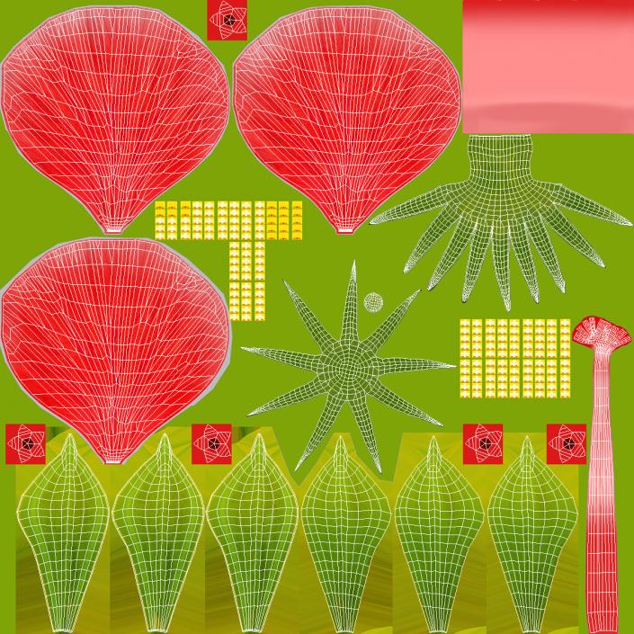 3D Blooming Red Hibiscus Flower model