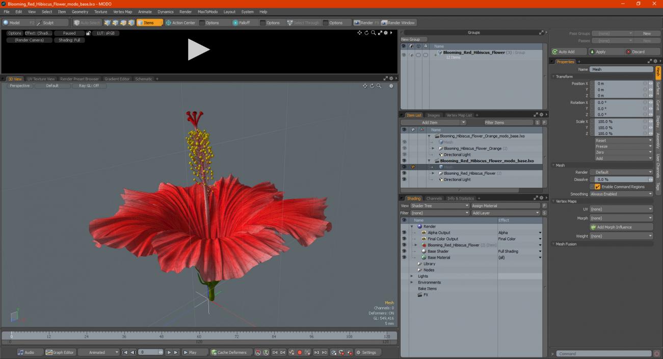 3D Blooming Red Hibiscus Flower model