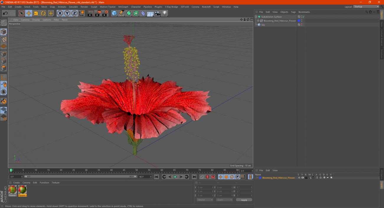 3D Blooming Red Hibiscus Flower model