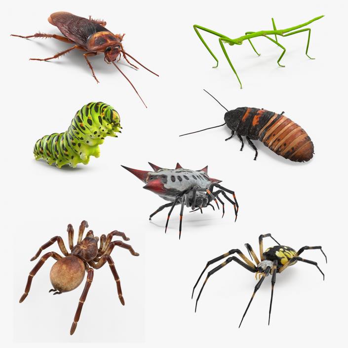 Rigged Creeping Insects Collection 3D model