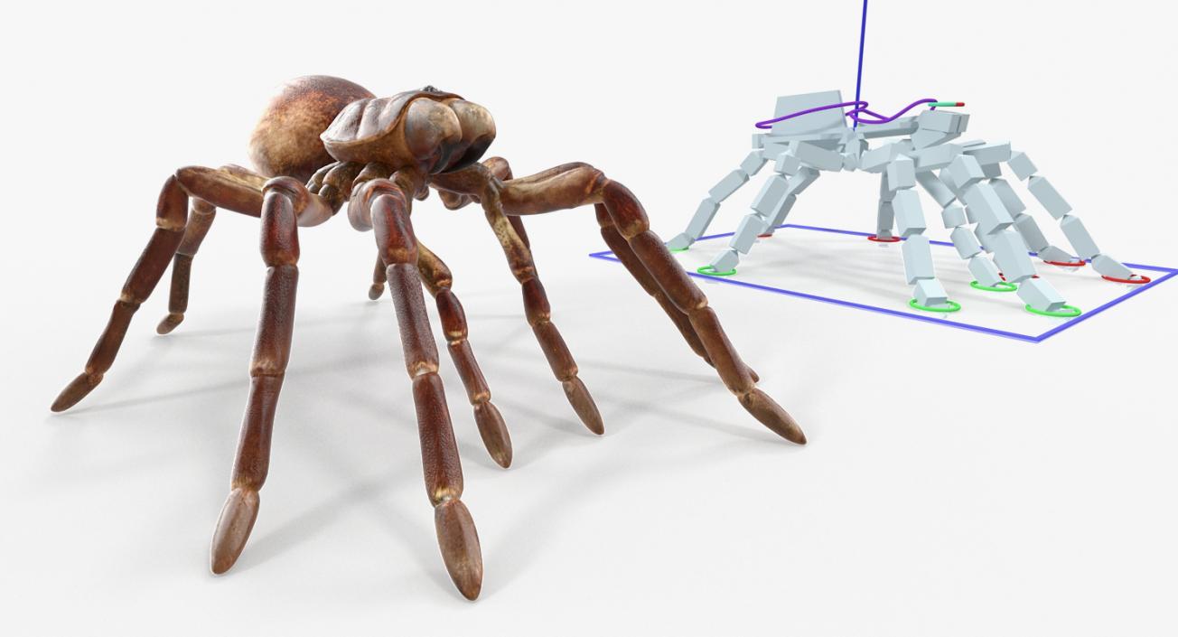 Rigged Creeping Insects Collection 3D model