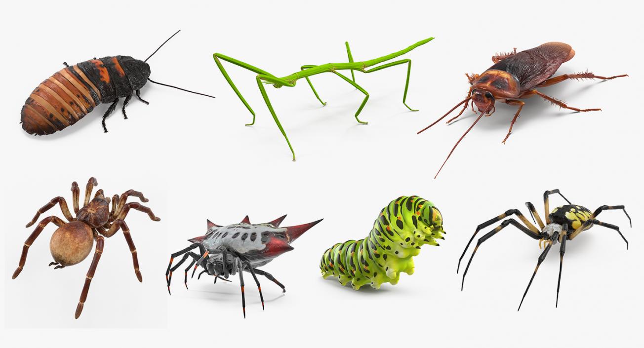 Rigged Creeping Insects Collection 3D model