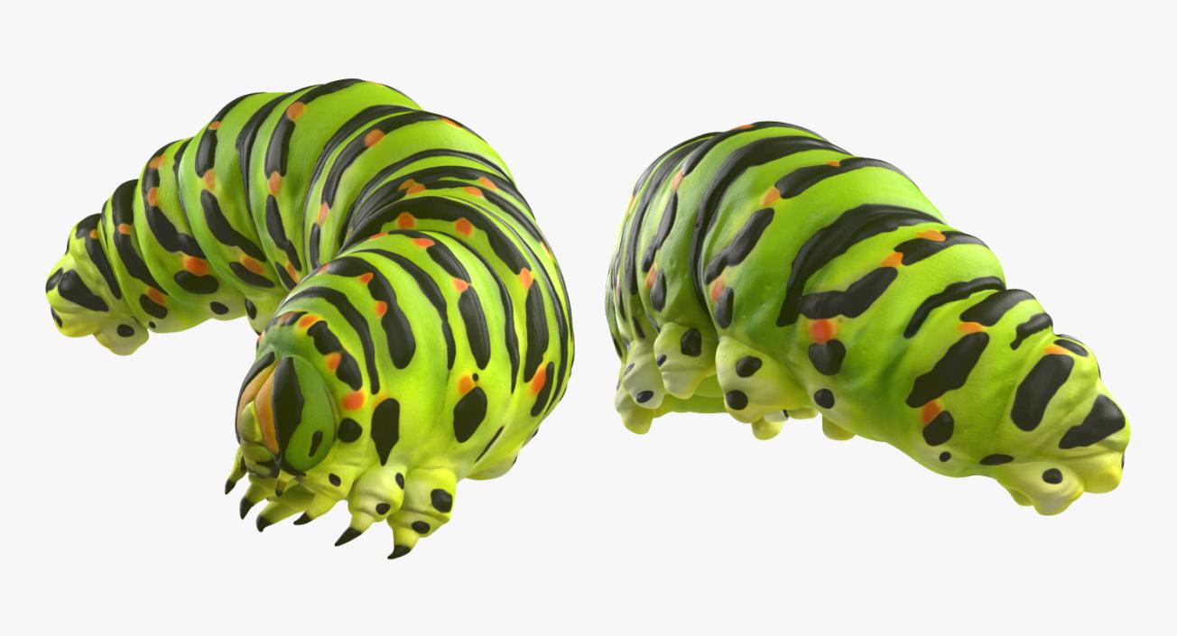 Rigged Creeping Insects Collection 3D model