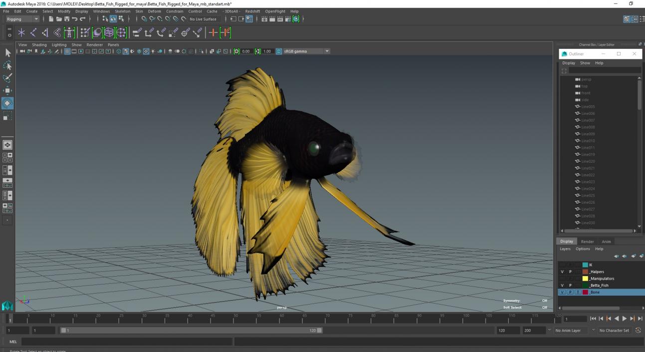 3D Betta Fish Rigged for Maya