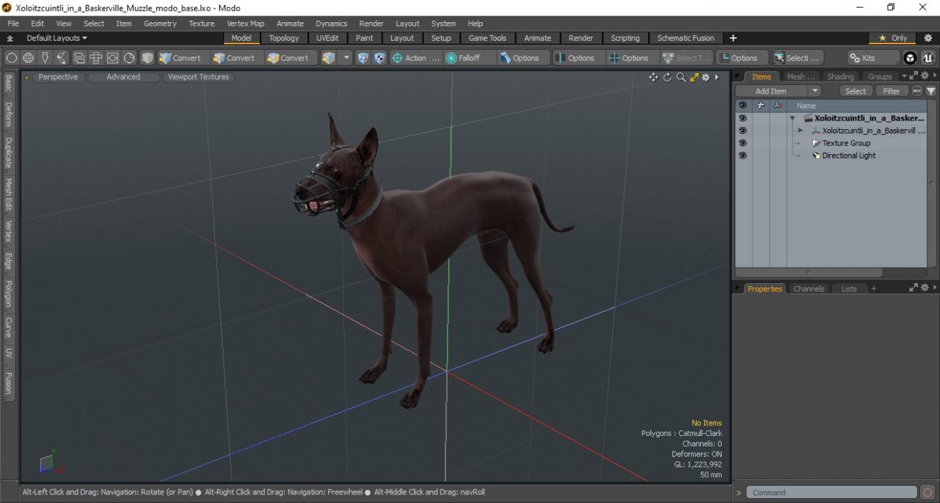 3D Xoloitzcuintli in a Baskerville Muzzle model