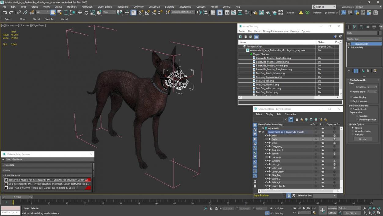 3D Xoloitzcuintli in a Baskerville Muzzle model