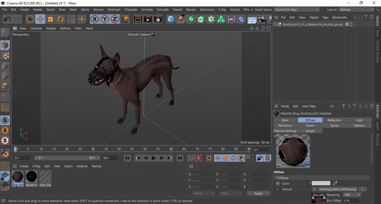 3D Xoloitzcuintli in a Baskerville Muzzle model