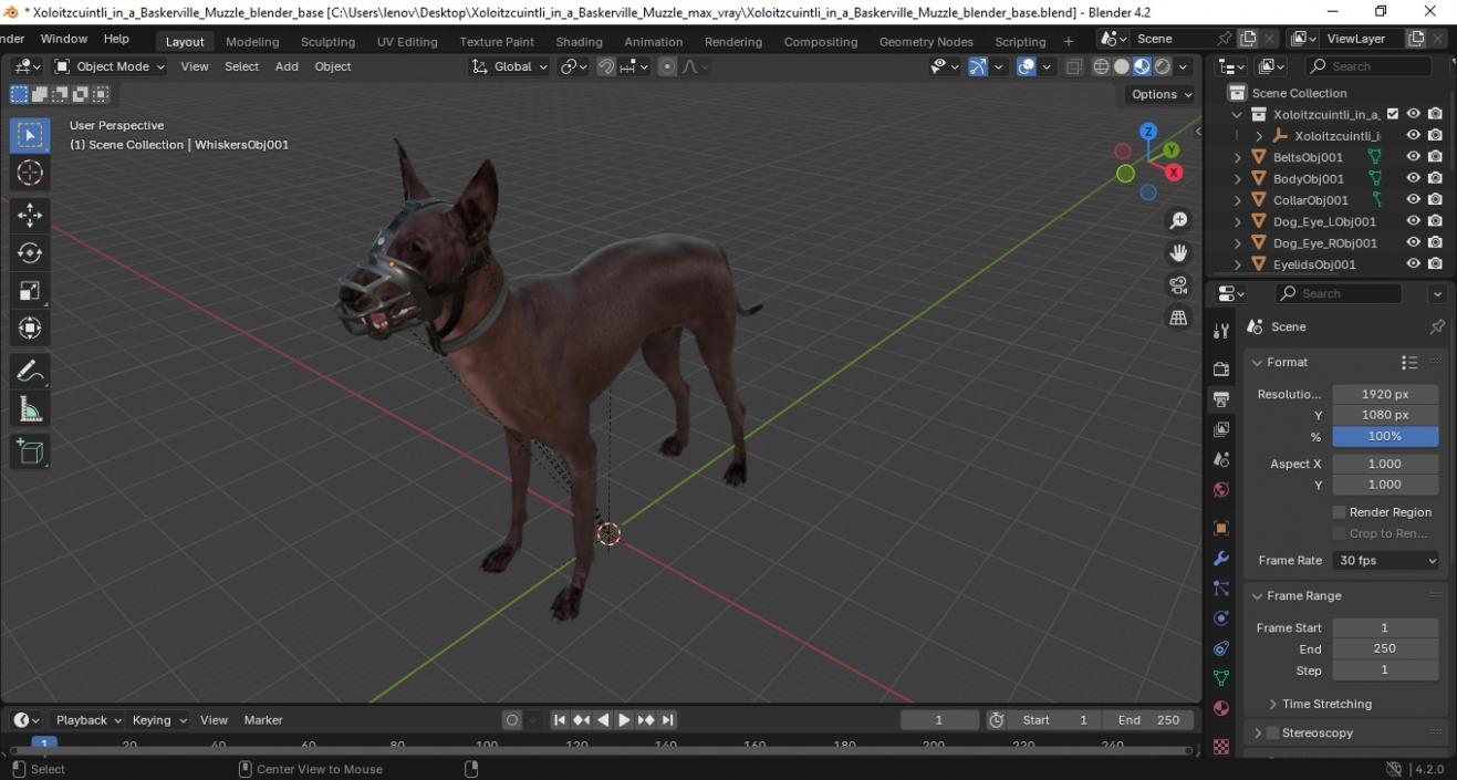 3D Xoloitzcuintli in a Baskerville Muzzle model