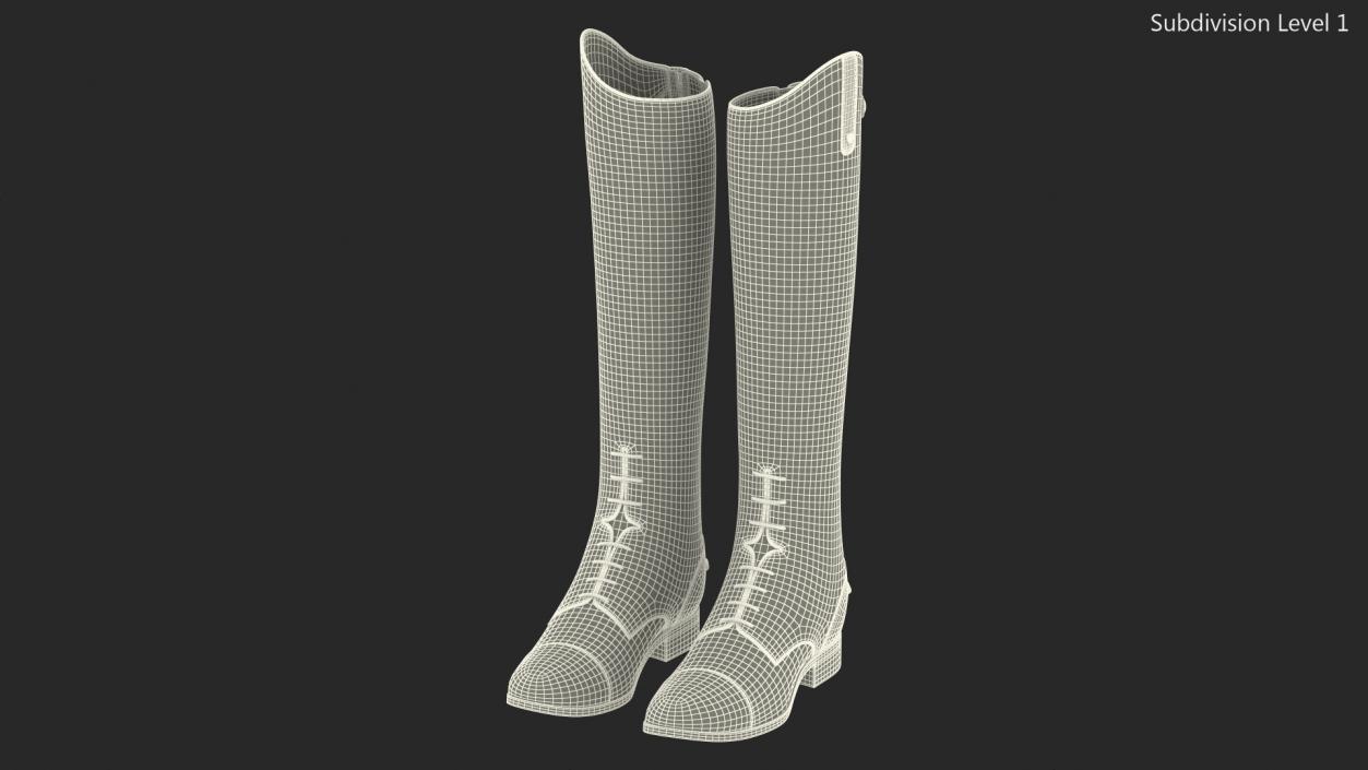 Horse Riding Boots Black 3D model