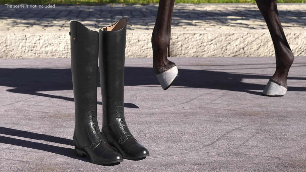 Horse Riding Boots Black 3D model