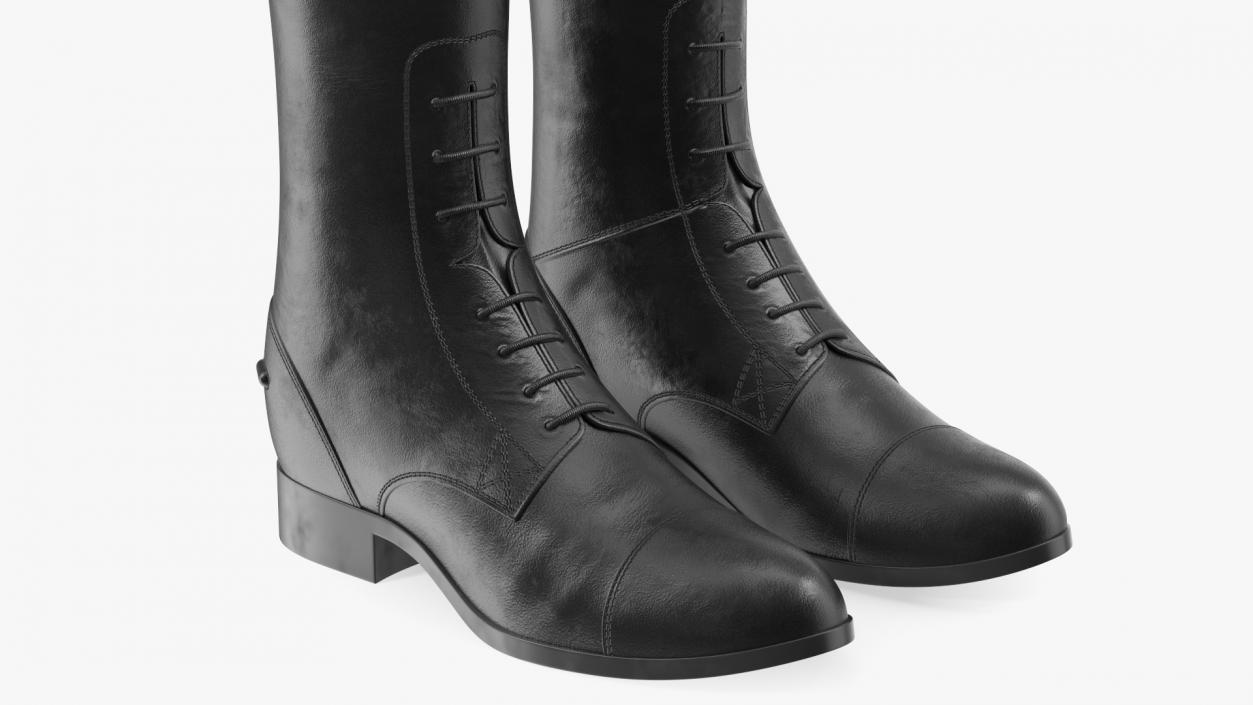 Horse Riding Boots Black 3D model