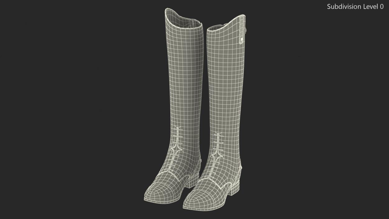 Horse Riding Boots Black 3D model