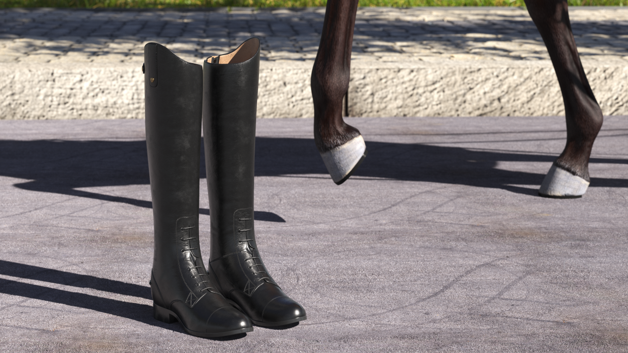 Horse Riding Boots Black 3D model