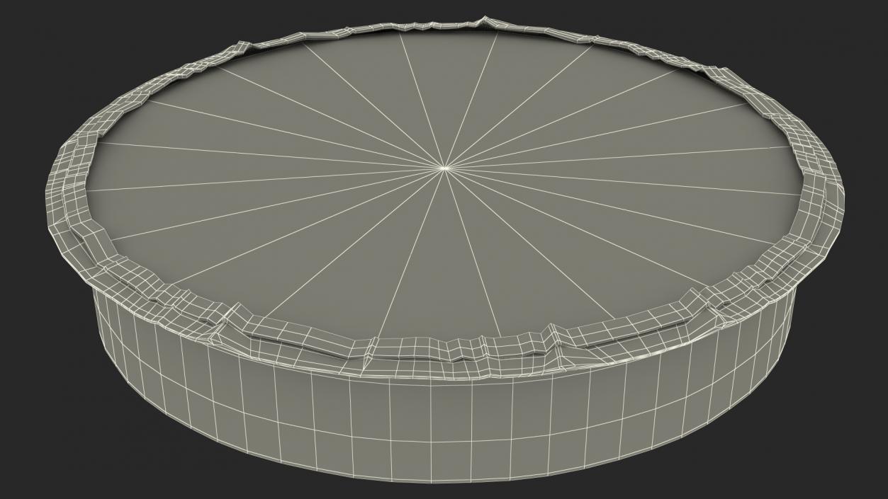 Round Disposable Aluminum Foil Pan 3D model