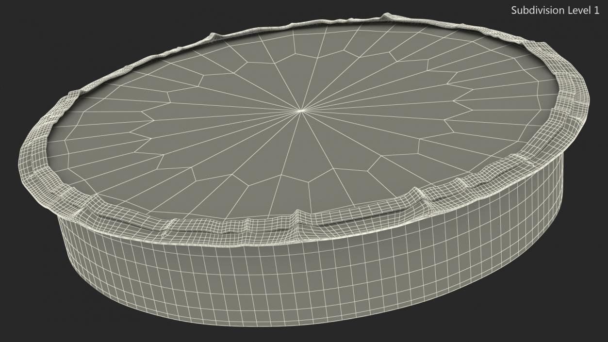 Round Disposable Aluminum Foil Pan 3D model