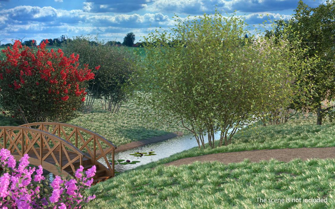 Kolkwitzia Amabilis Bush 3D model