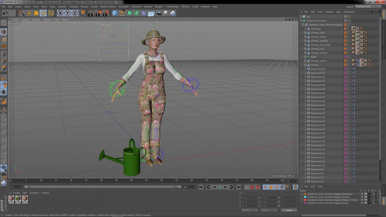 3D Gardener Asian Woman Rigged for Cinema 4D