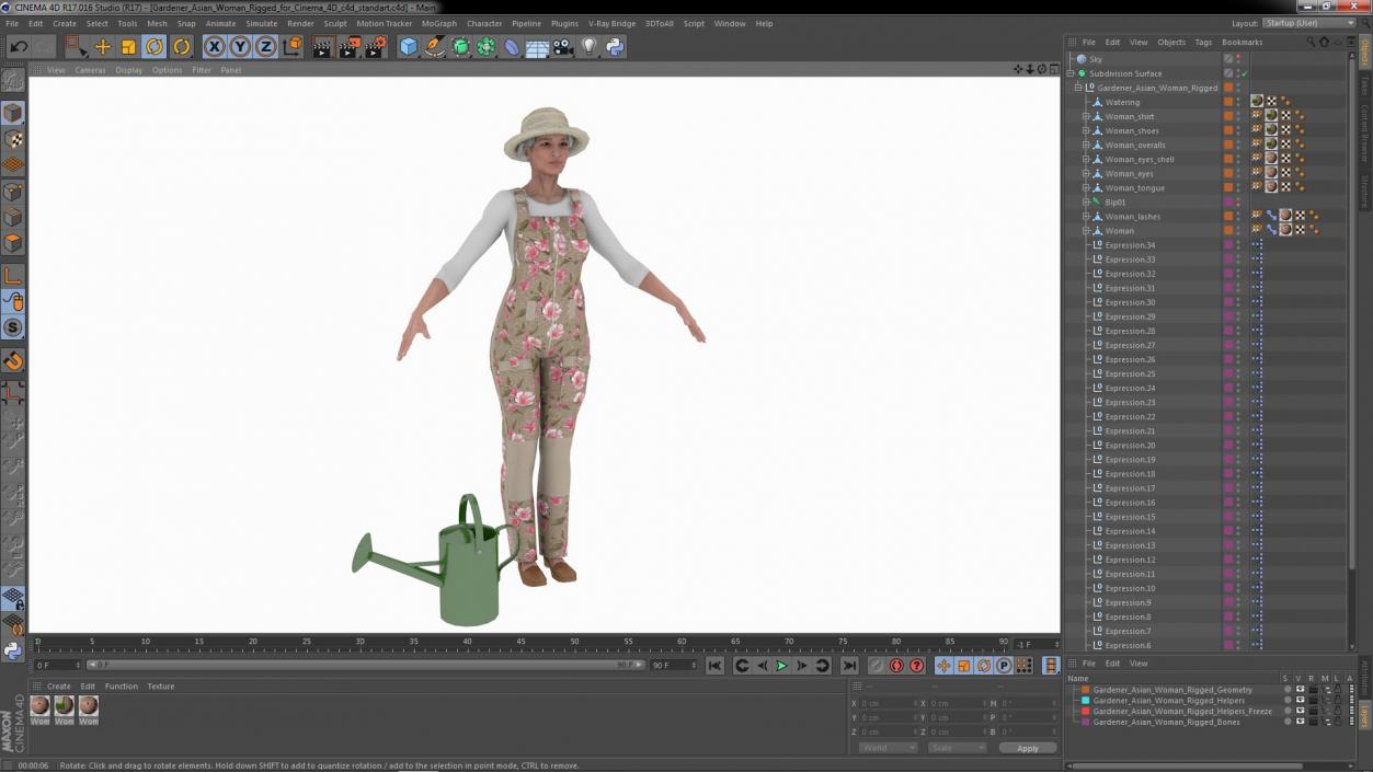 3D Gardener Asian Woman Rigged for Cinema 4D