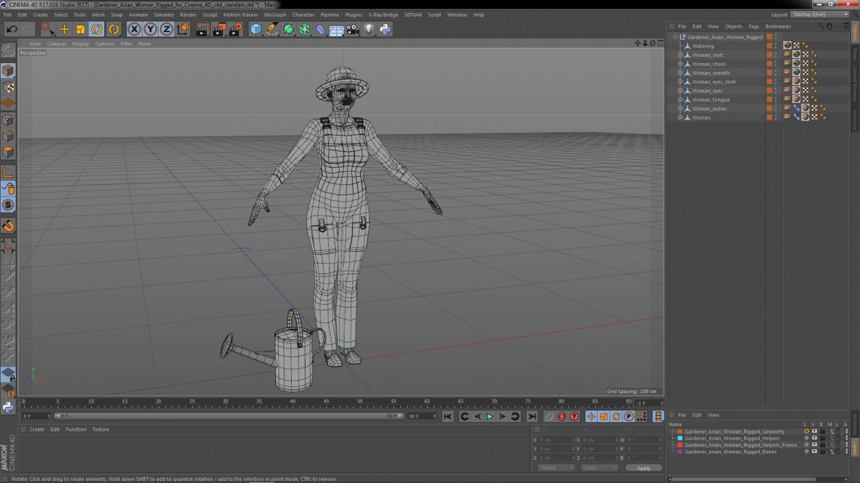 3D Gardener Asian Woman Rigged for Cinema 4D