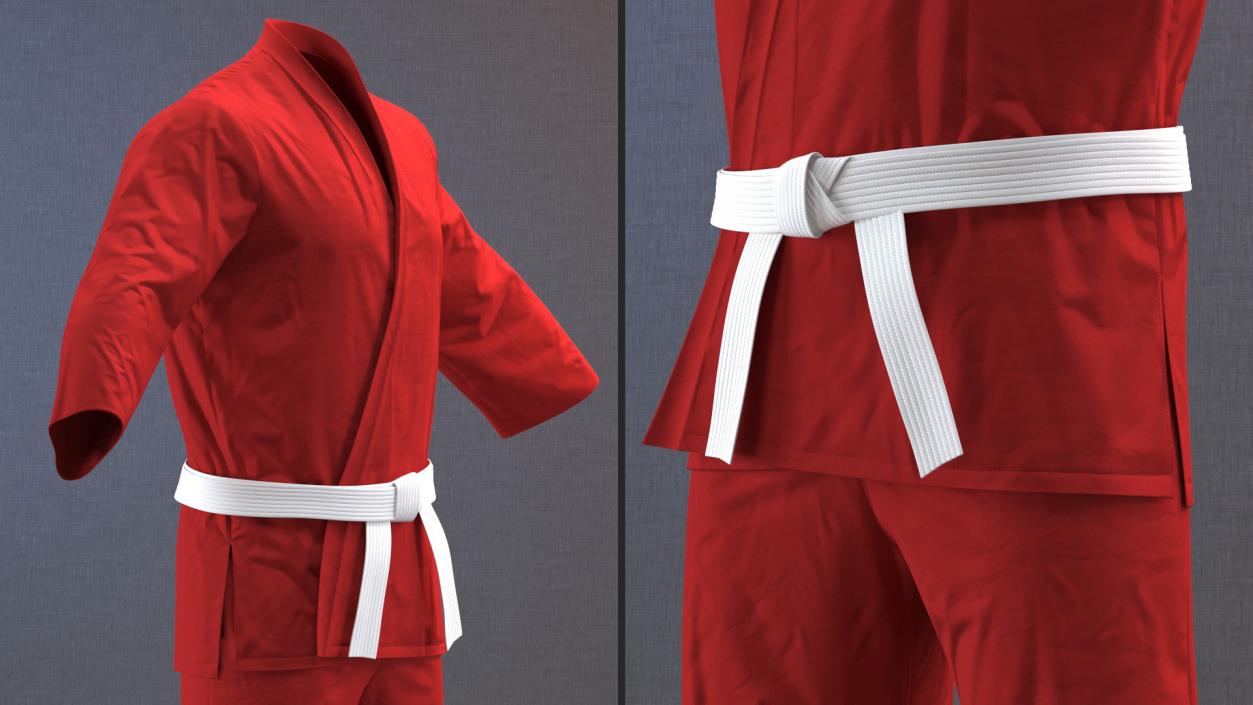 3D Karate Training Clothes Collection 3