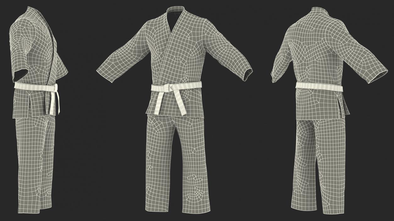 3D Karate Training Clothes Collection 3