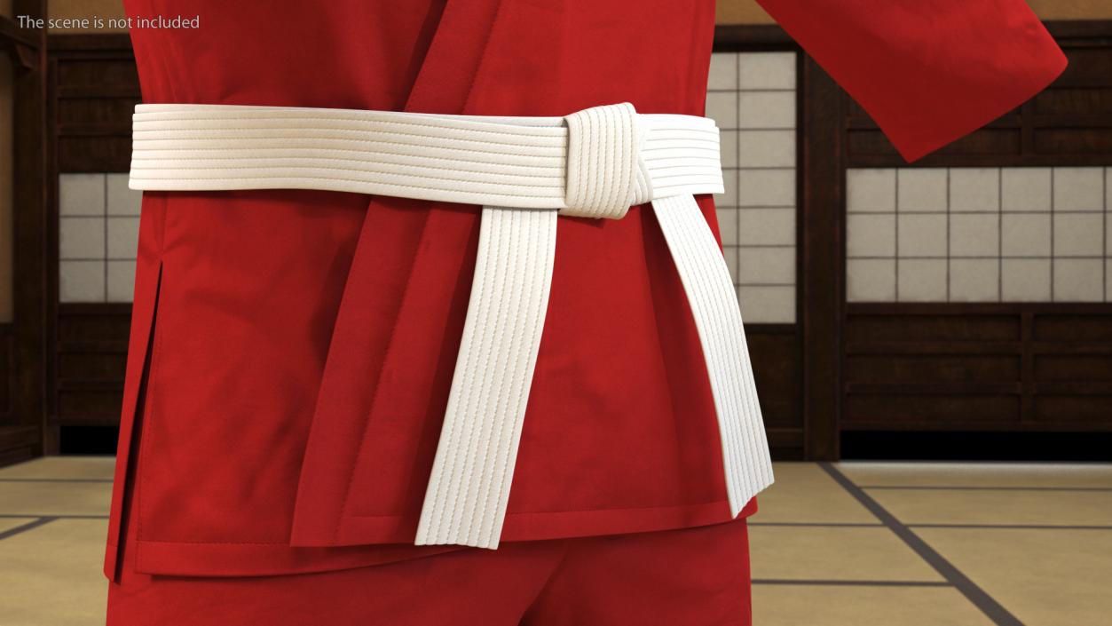 3D Karate Training Clothes Collection 3