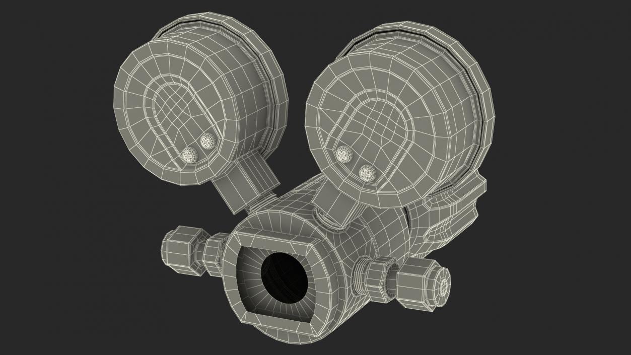 AFK Regulator High Pressure Gas Two Gauges 3D