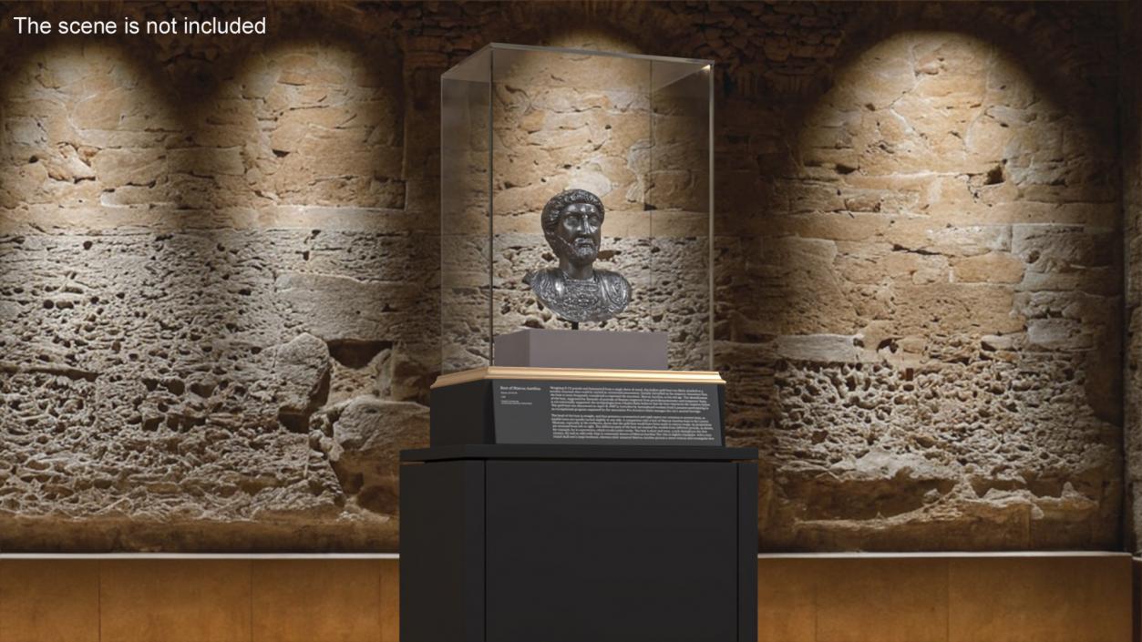 Ancient Emperor Bust Silver 3D