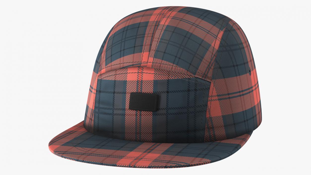 Plaid 5 Panel Hat 3D