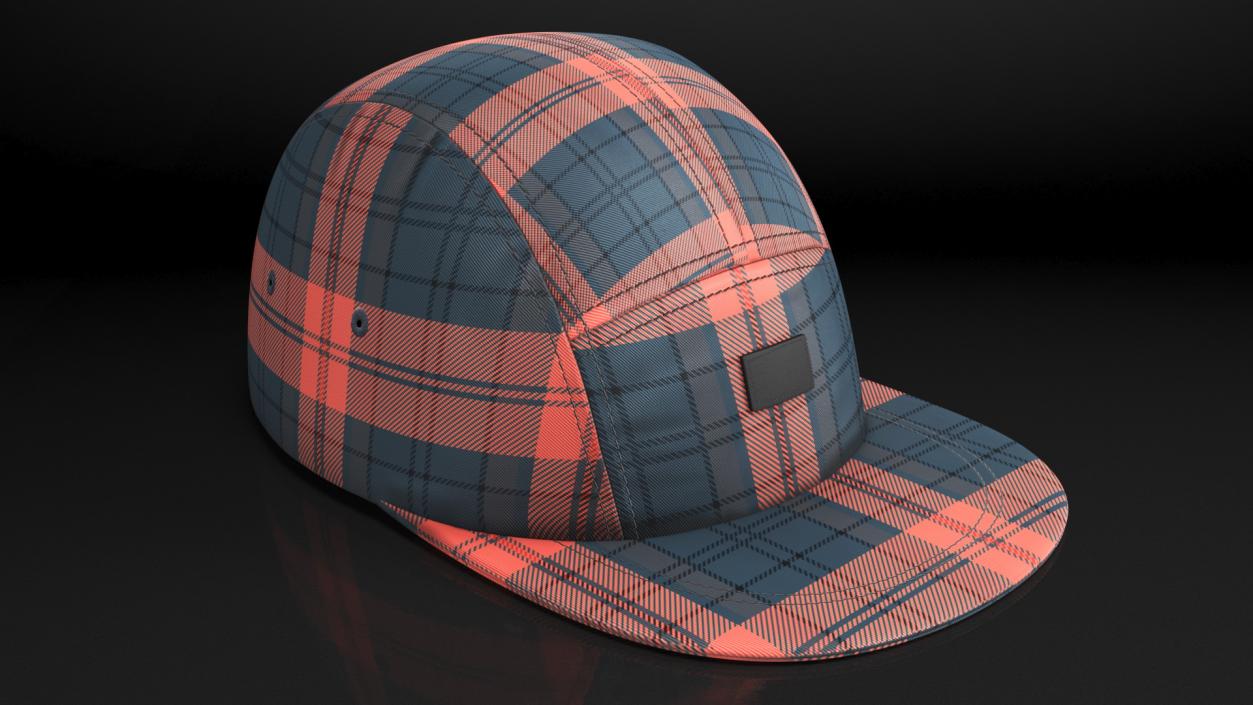 Plaid 5 Panel Hat 3D