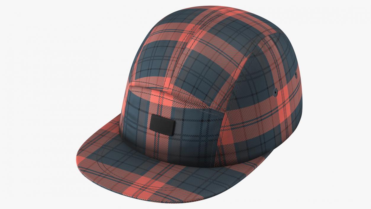 Plaid 5 Panel Hat 3D