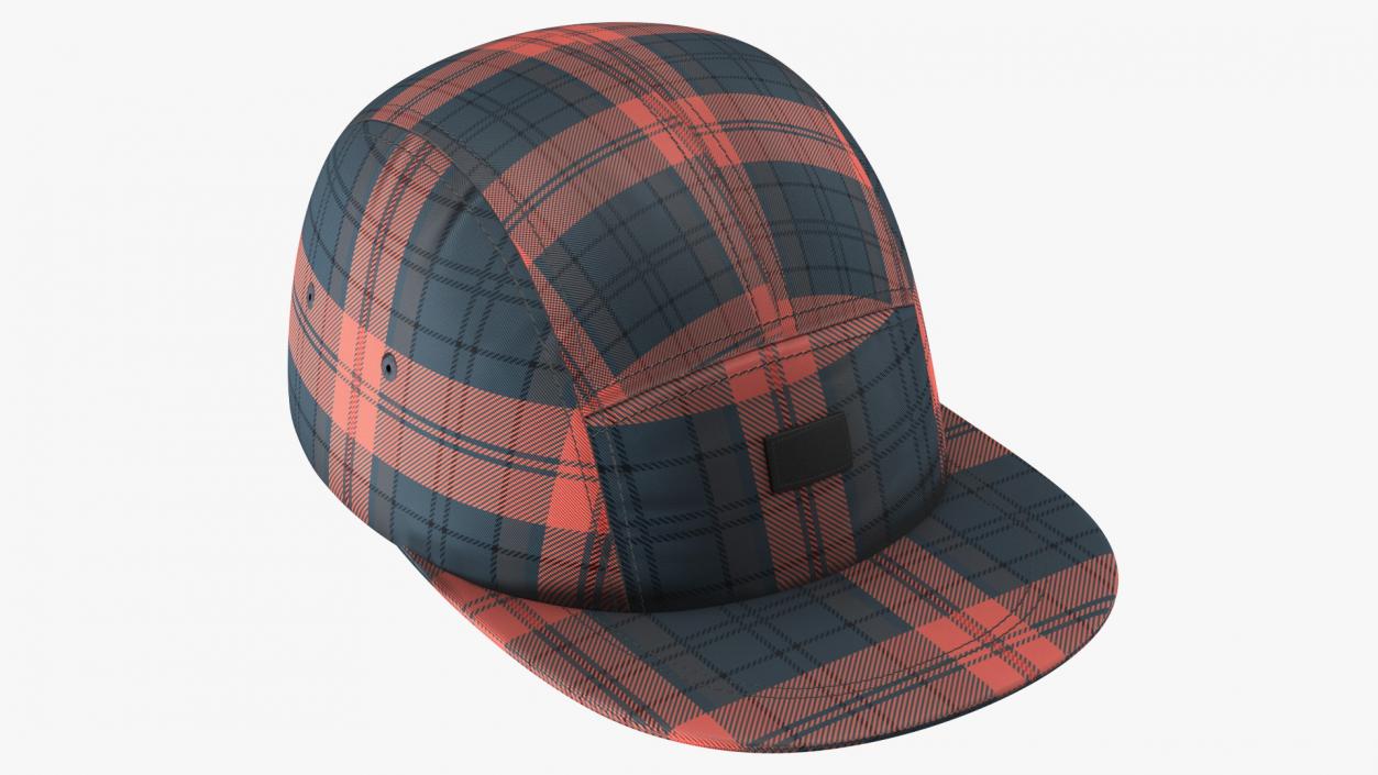 Plaid 5 Panel Hat 3D