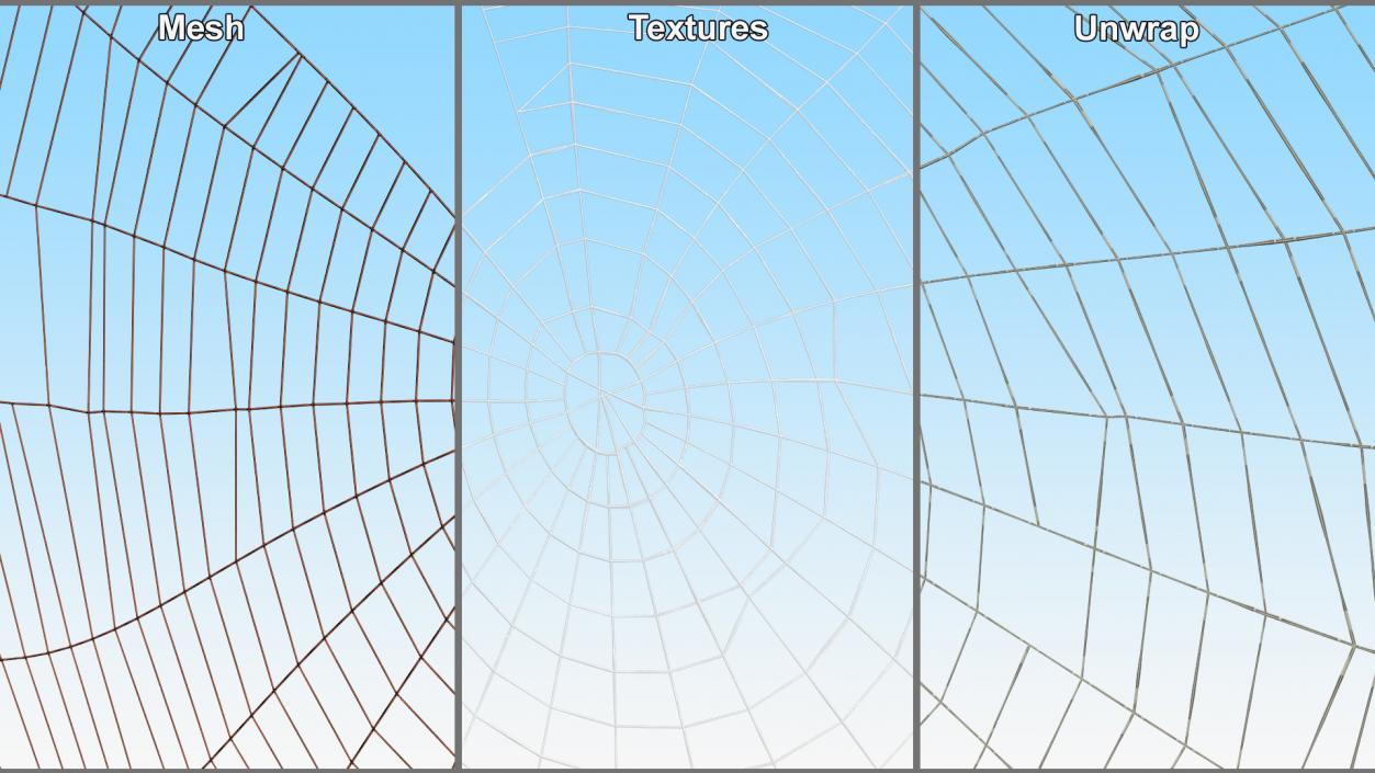 3D Spider Web in Circle Shape 2 model