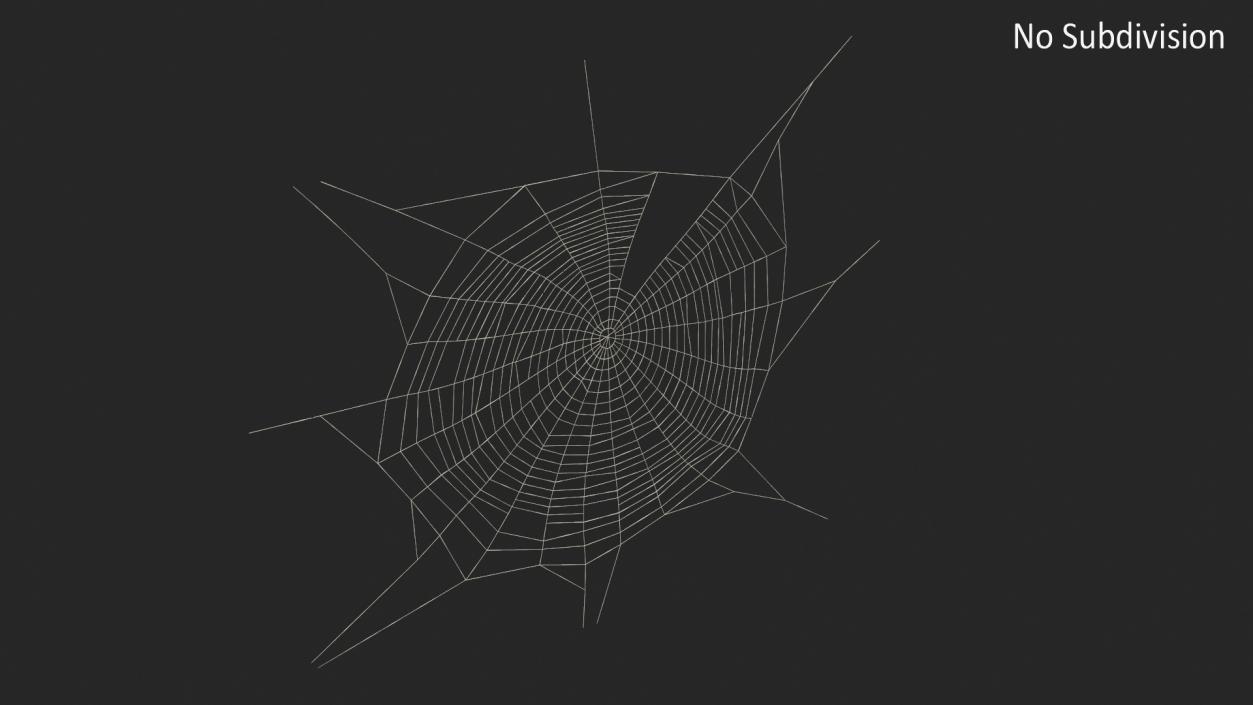 3D Spider Web in Circle Shape 2 model