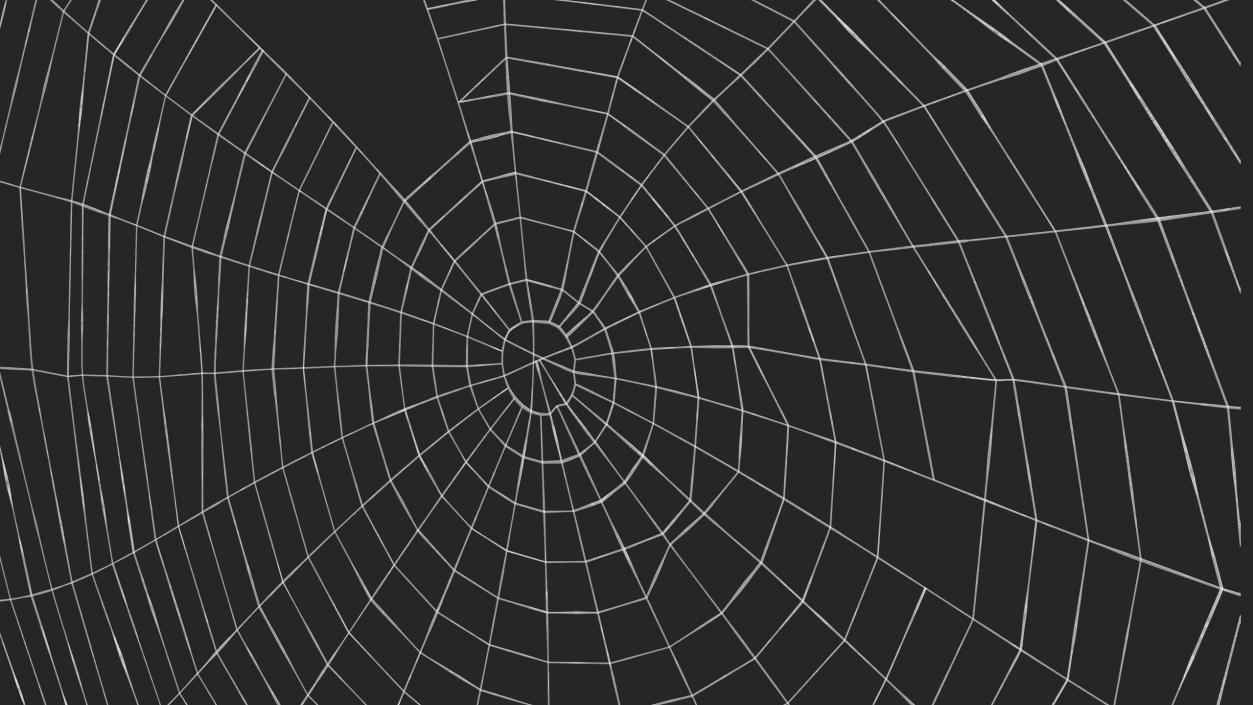 3D Spider Web in Circle Shape 2 model