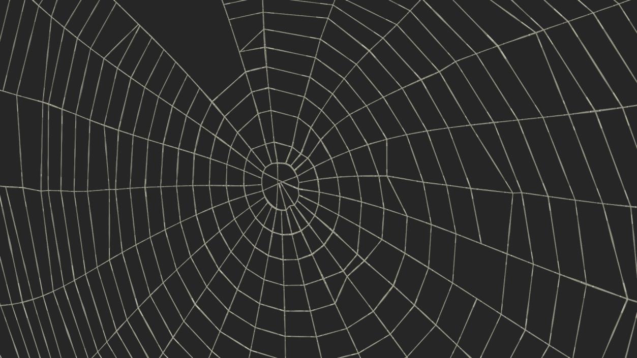 3D Spider Web in Circle Shape 2 model