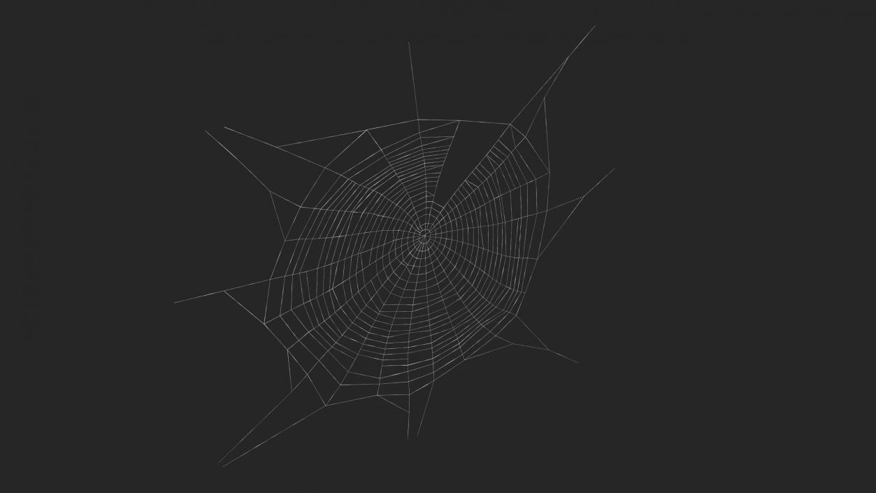 3D Spider Web in Circle Shape 2 model