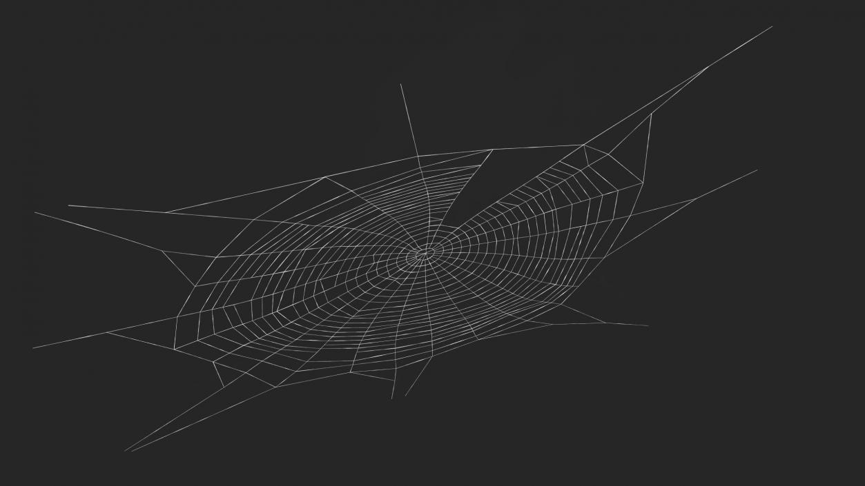 3D Spider Web in Circle Shape 2 model