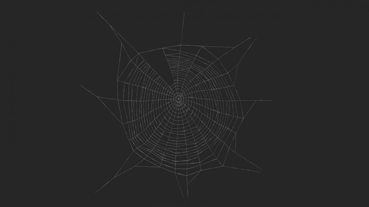 3D Spider Web in Circle Shape 2 model