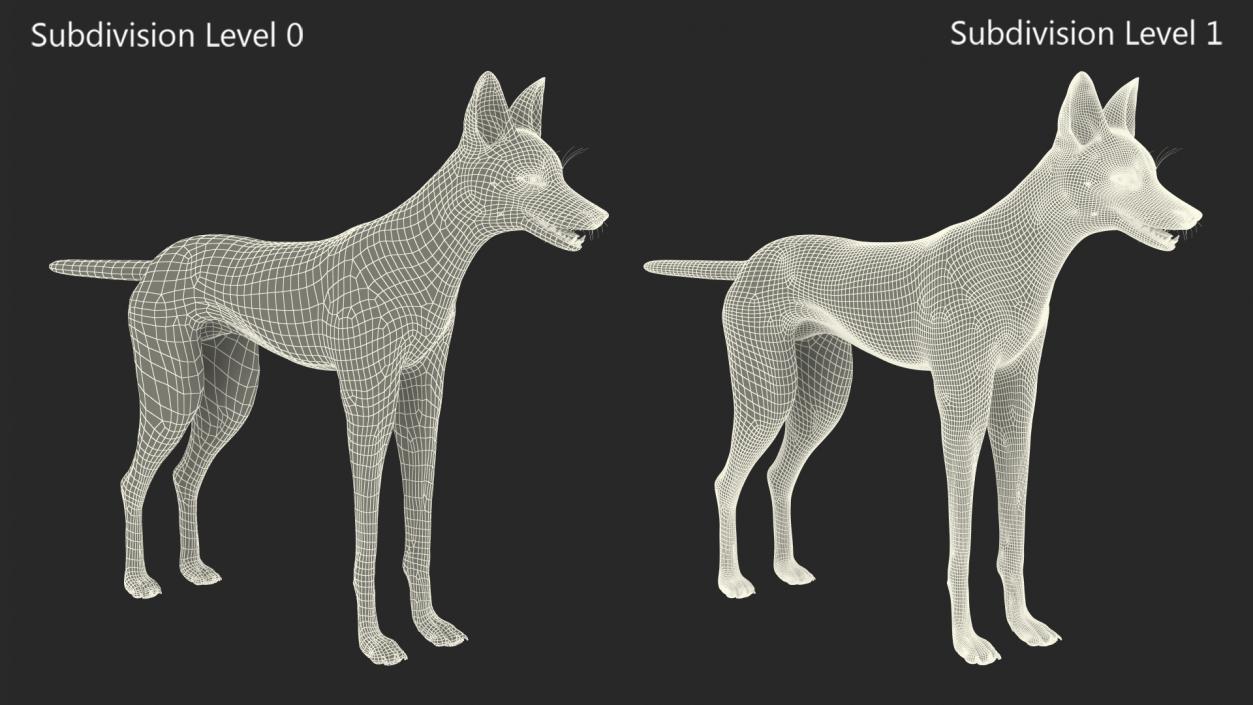 3D Maned Wolf Fur Rigged