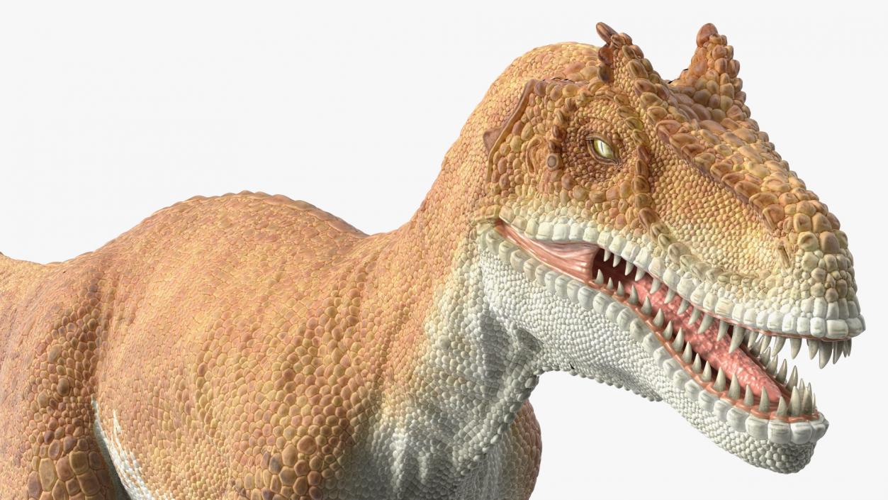 3D Allosaurus Yellow Coloring