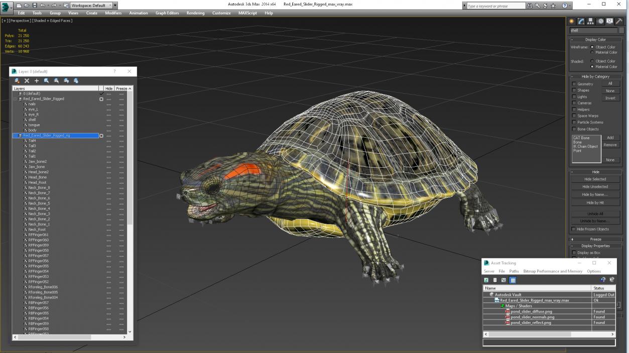 3D Red Eared Slider Rigged model