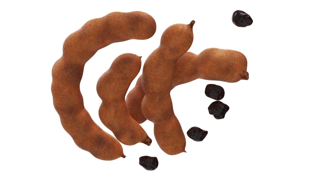 Tamarind Fruits Whole and Opened 3D