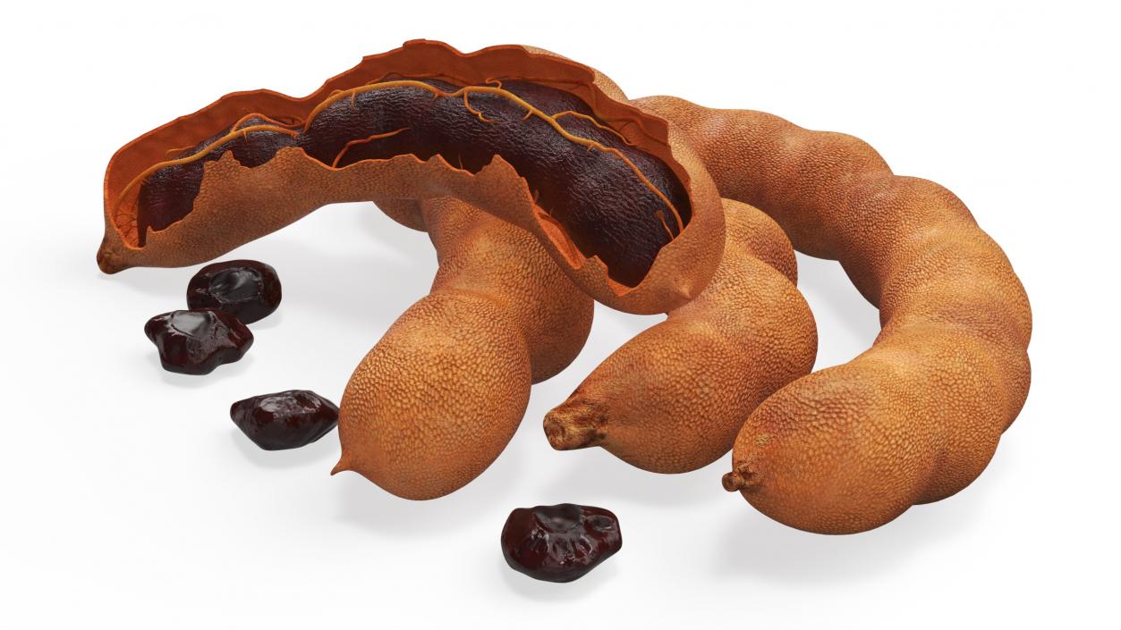 Tamarind Fruits Whole and Opened 3D