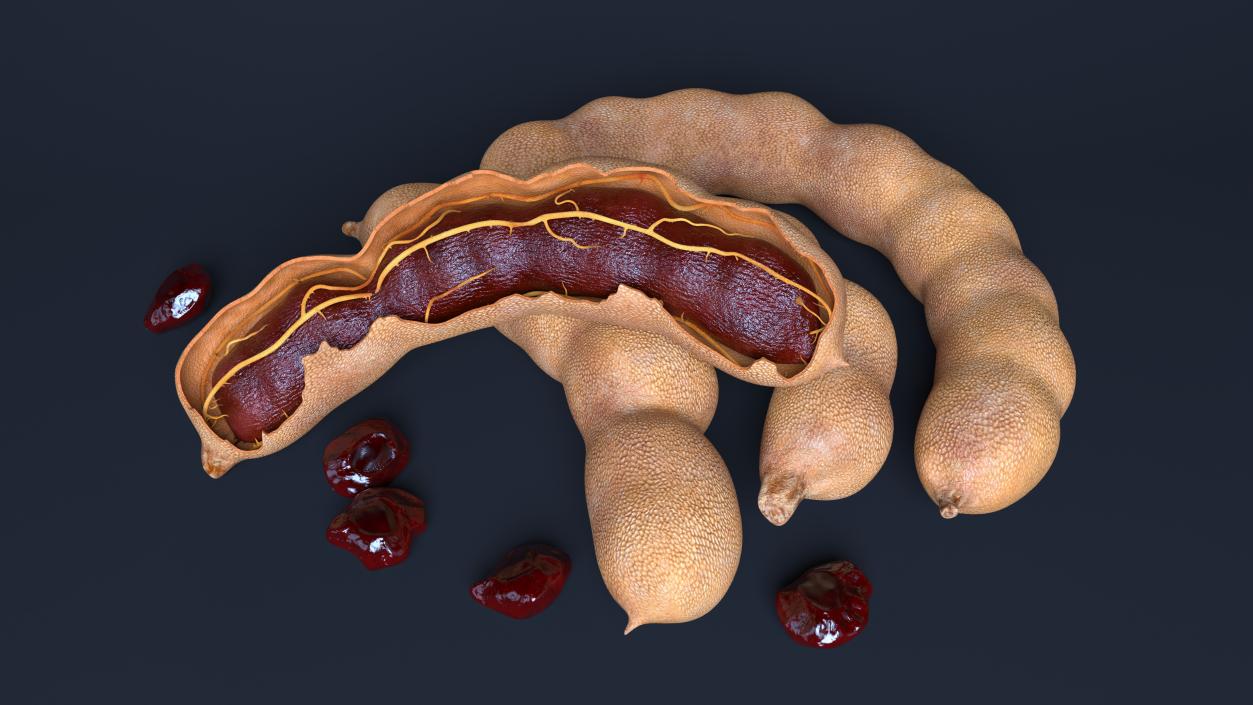 Tamarind Fruits Whole and Opened 3D